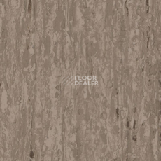 Линолеум Tarkett iq Optima BROWN BEIGE 0899 фото 1 | FLOORDEALER